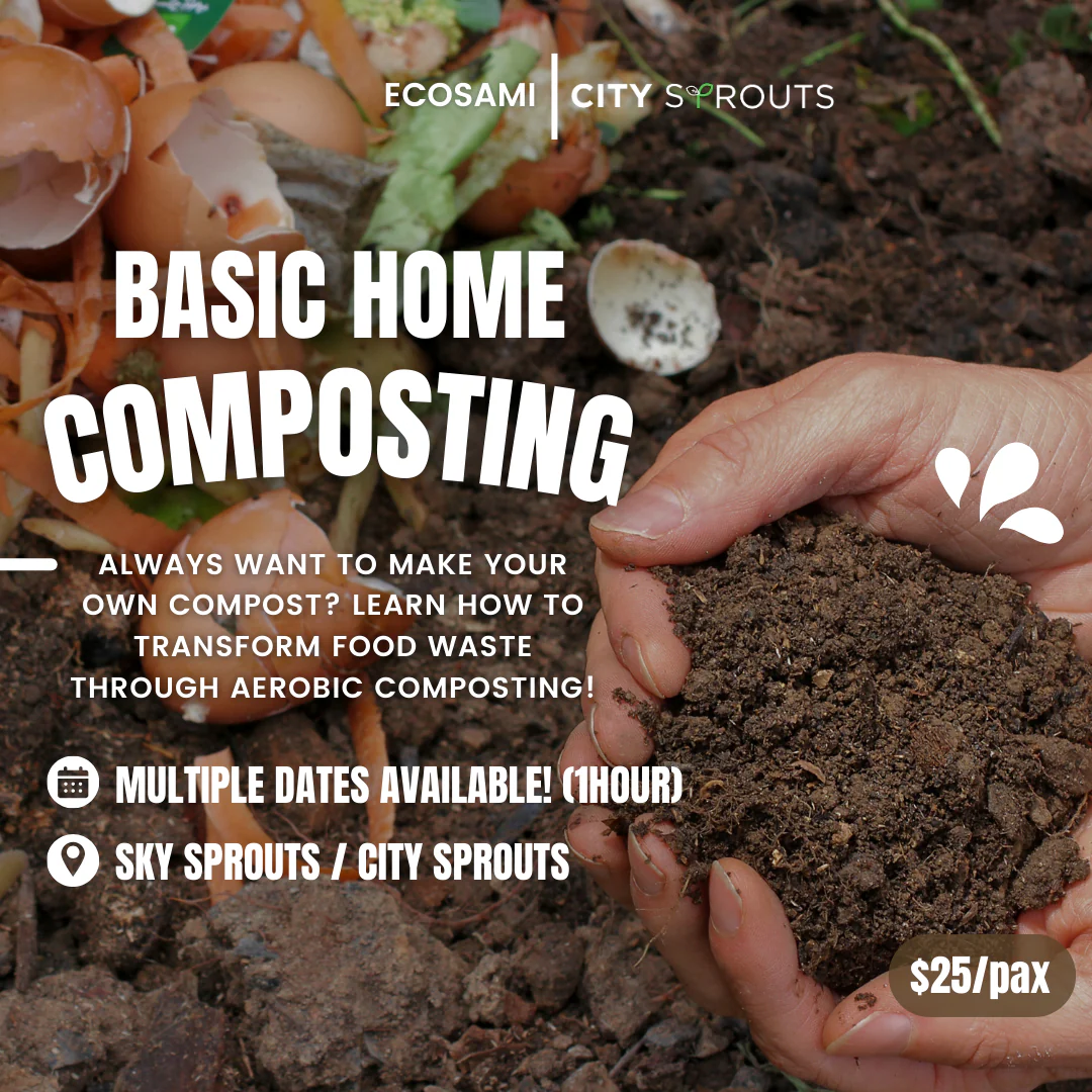 Home Composting 101